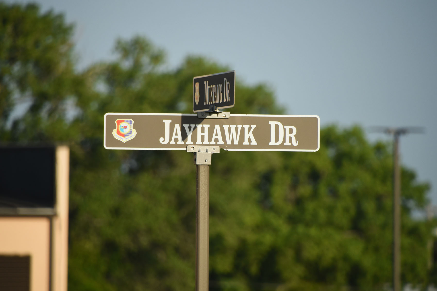 Jayhawk Drive Street Sign